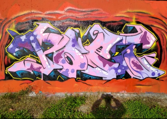 Product picture Barbed-wire wall graff pink edition